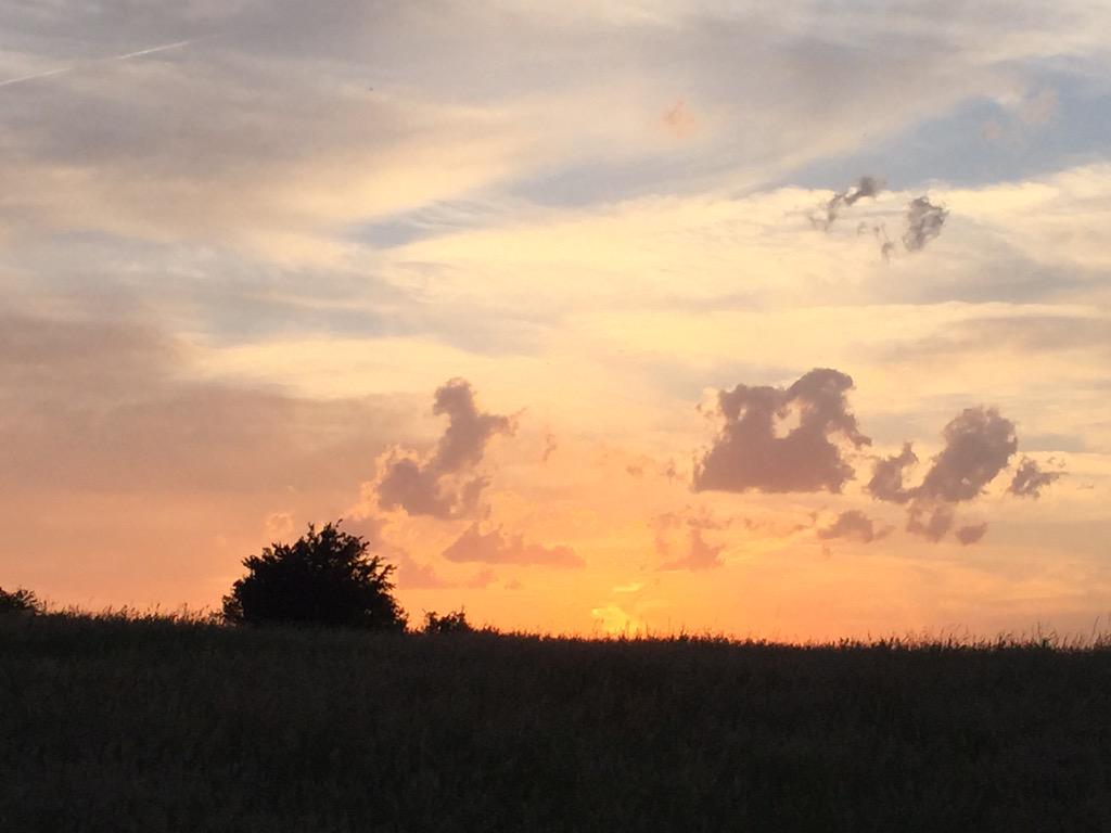RauffetJL's tweet photo. #Vienne38 http://t.co/ub85W2rX4c