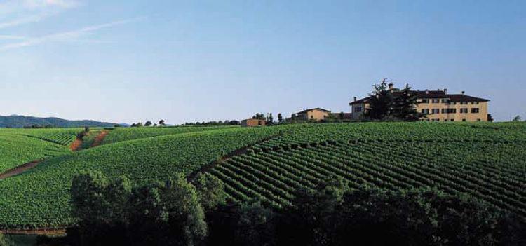 Verso Cantine Aperte 2015 di <a href="/MTV_Italia/">MovimentoTurismoVino</a> le proposte delle <a href="/dimorestoriche/">ADSI - Associazione Dimore Storiche Italiane</a> : bit.ly/1HiNsvA