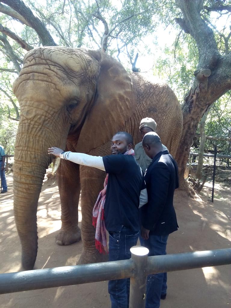 02monami's tweet photo. A date with wildlife at #ElephantSanctuary...INCREDIBLE! #NigeriaMeetSouthAfrica #ExploreTshwane http://t.co/yAZAw8d81m