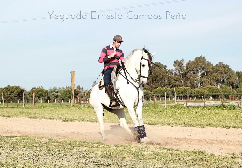 Distinto en su entrenamiento diario con Jorge Franco.