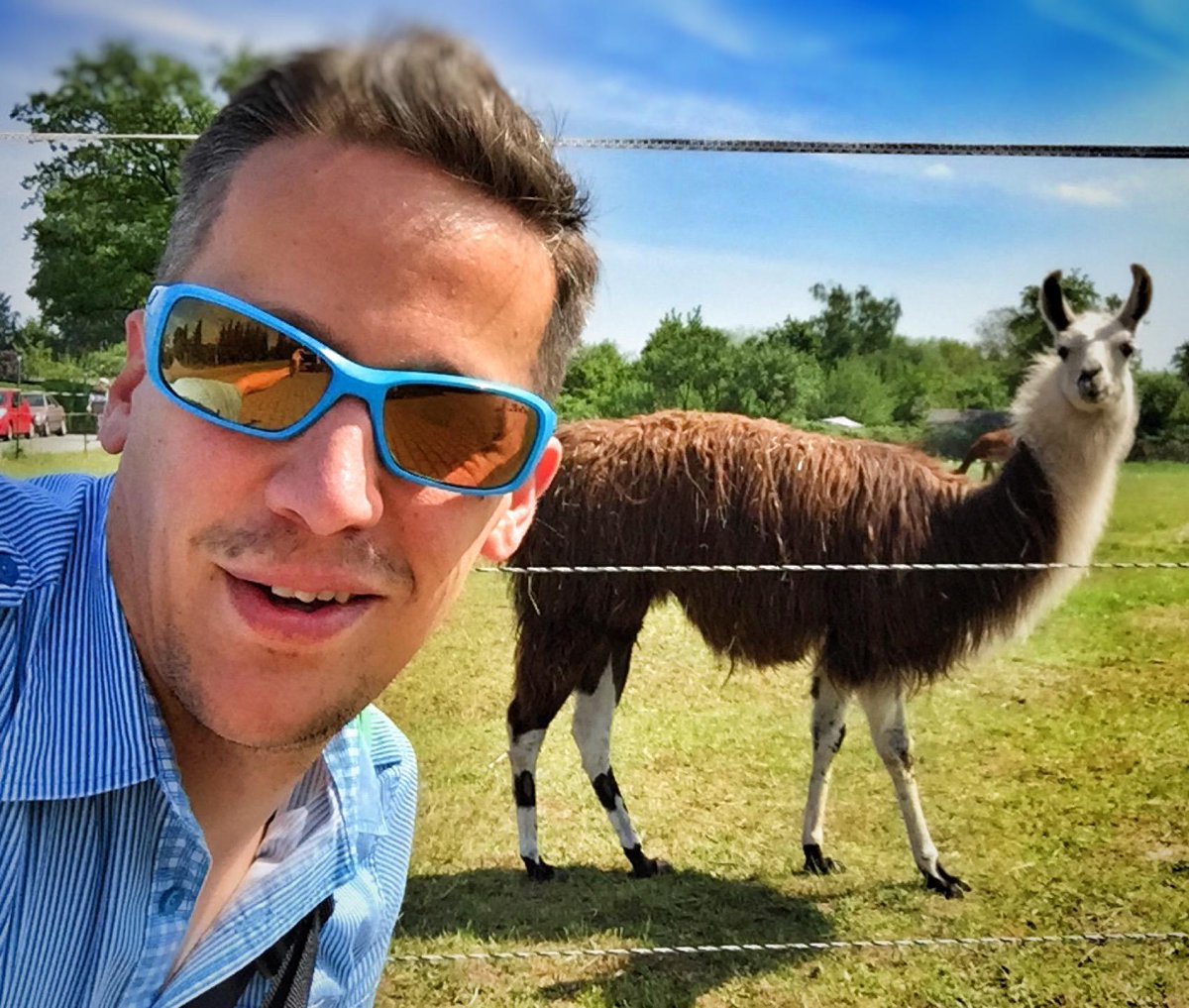 xab83's tweet photo. Hey YO Lamaz! ;) #lamapower #lamas #darmstadt (@ Rosenhöhe in Darmstadt, Germany) https://t.co/yP2qCaP2F5 http://t.co/wuPdfCqtHO