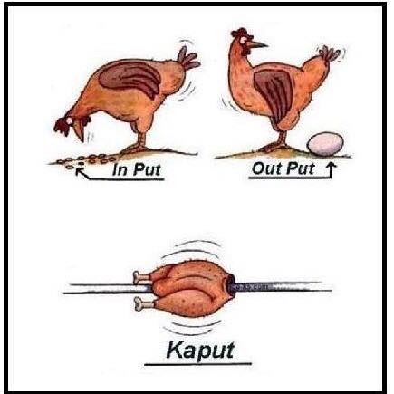 amodosque 🟩🟡🟥 tweet media