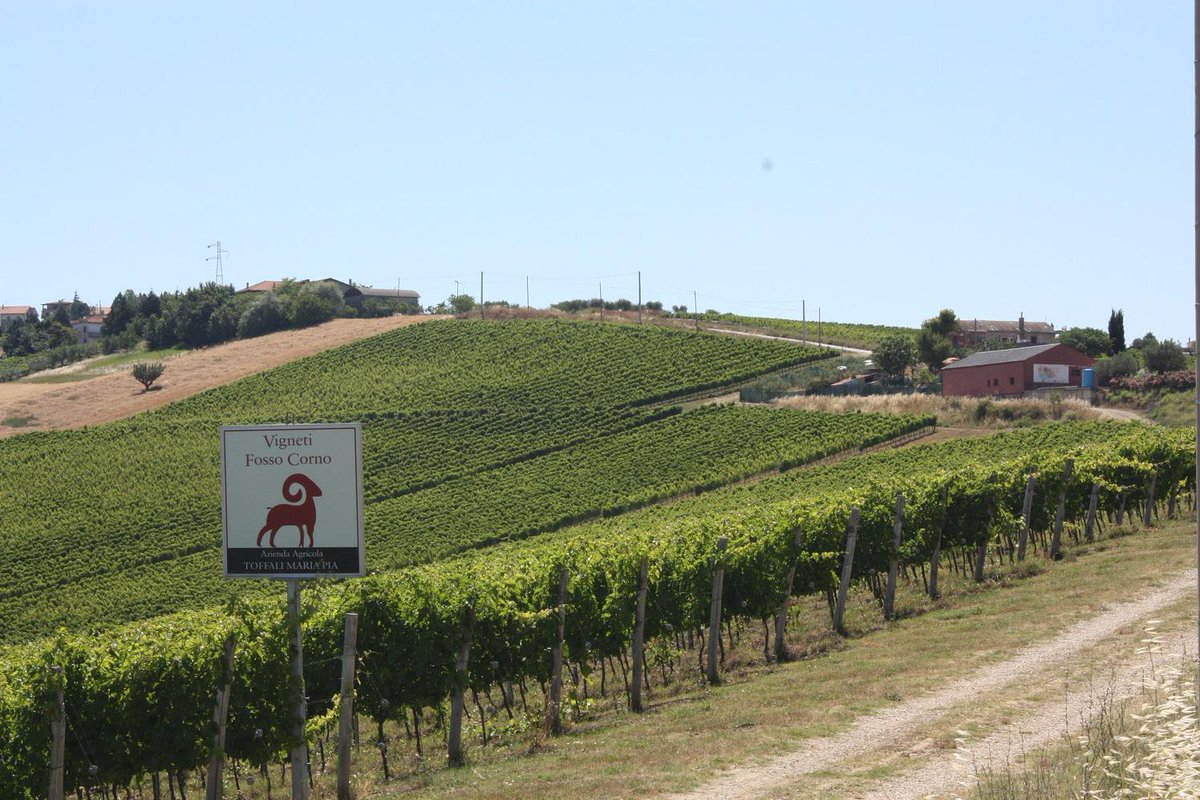 @SusanneWess. Un tweet tutto italiano dalla terra d'Abruzzo dove produciamo eccellenti vini. Ciao Paolo S.