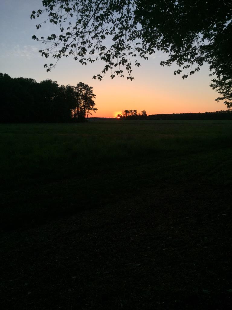 MD_bowhunt's tweet photo. No gobbles yet but still enjoying the sunrise http://t.co/xTN1hE8RKg