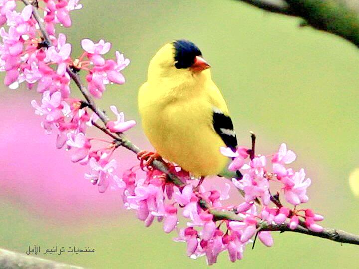 SaVonniYestanti's tweet image. Say It: I am surrounded by SO much POSITIVITY, SO much #Wisdom &amp;amp; SO much LOVE! ~ #GodLivesHere #YesHeDoes