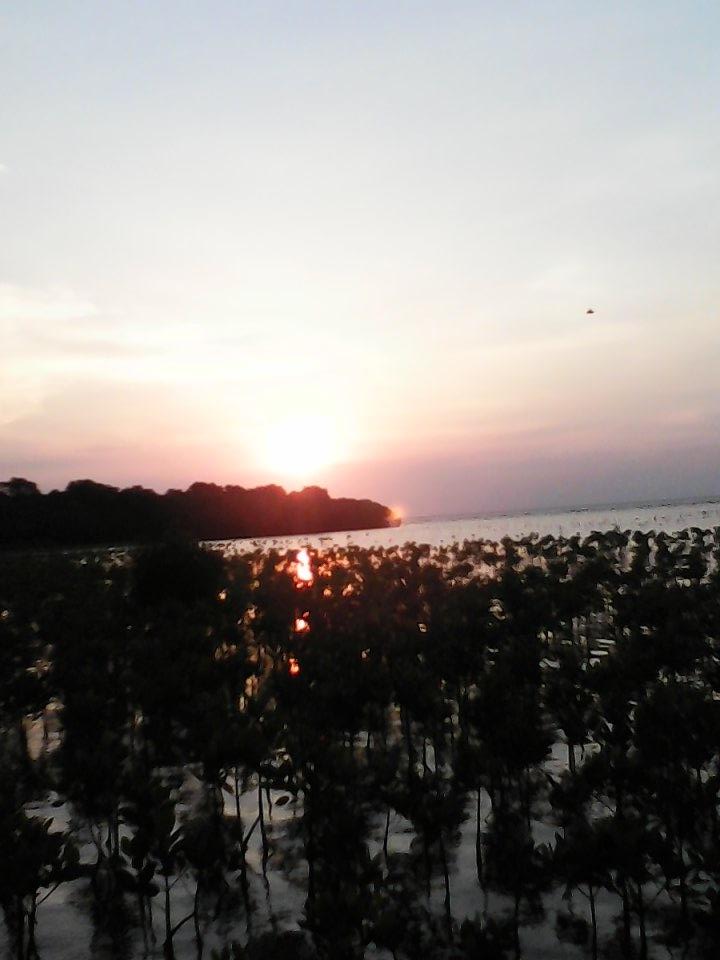 Sunset mangrove <a href="/InfoRembang/">Info Rembang</a> <a href="/LasemHeritage/">#SavePusakaLasem</a>