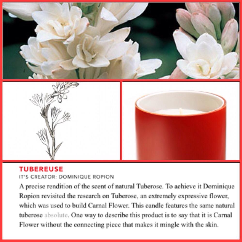 TUBEREUSE: its creator: Dominique Ropion. A #scent that stuns and seduces #fragrances #candles
