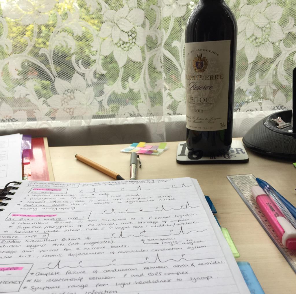mpevans26's tweet photo. Revising with a bottle of red on the desk wasn't the best idea... #ItWasAPresent #Honest http://t.co/6SaXSSCNPz