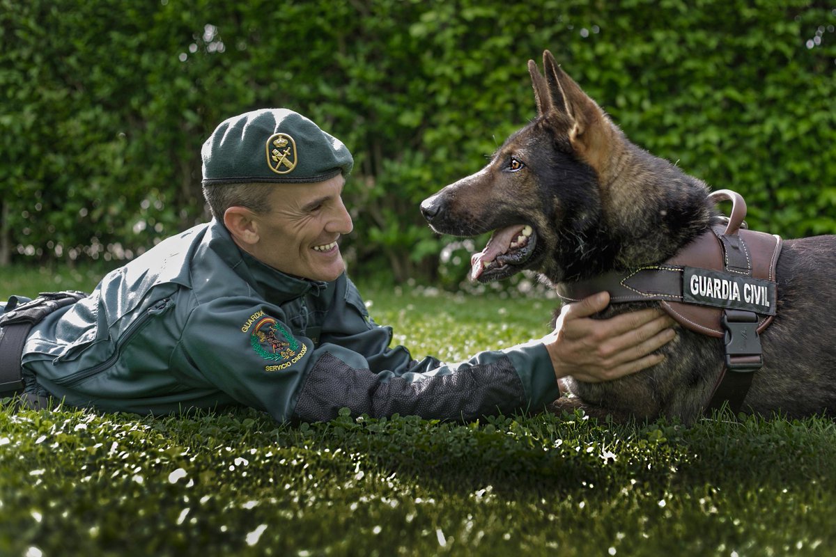 guardiacivil's tweet photo. Esta gran imagen no sólo habla de trabajo y servicio,también habla de amistad,compañerismo y cariño.

#Grandesamigos http://t.co/wlB643ATDr