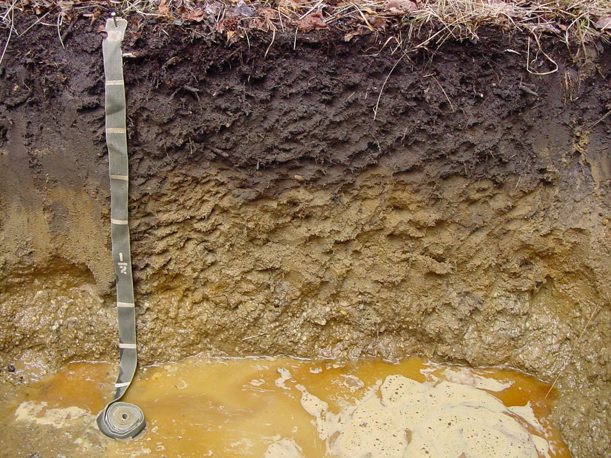 SoilRenew's tweet photo. 3. Build up organic matter in soils with soil building organisms. Organic material is different from organic matter. http://t.co/Zv15TDYkeE
