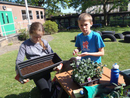 Springfield_Sch_Swad tweet media