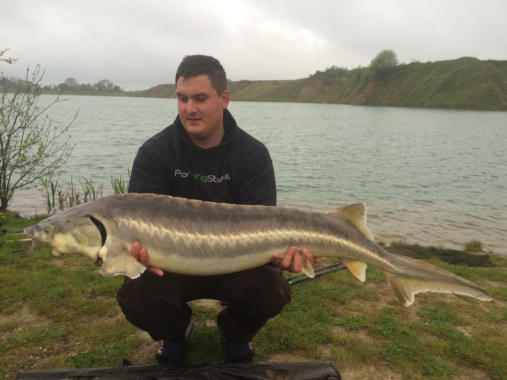 ProFishingStore's tweet photo. Vi slog 2 danmarksrekorder på 1 dag
http://t.co/U1RBUndhvO
#stør #danmarksrekord #profishingstore http://t.co/UXKrXBF7L3