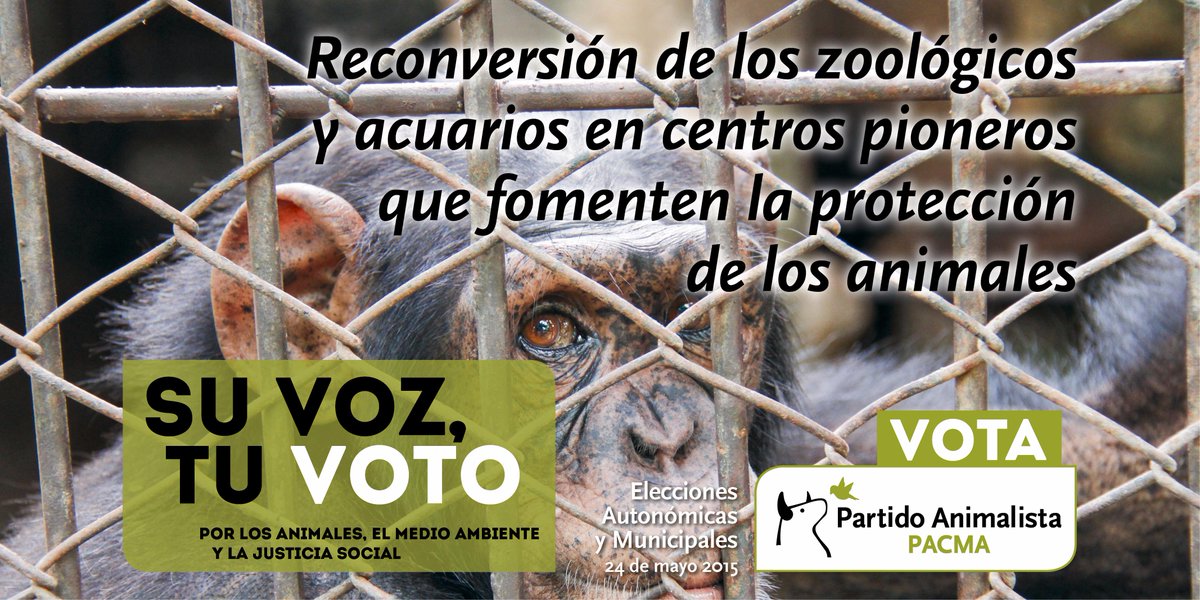 PartidoPACMA's tweet photo. Reconversión de zoológicos y acuarios en centro pioneros que fomenten la protección de los animales.
#SuVozTuVoto http://t.co/K7BAWXNiYe