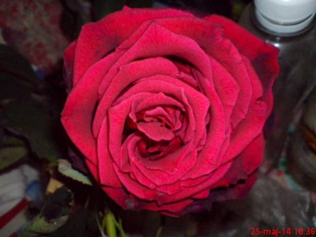 mester_nagy's tweet photo. Happy day. :-) http://t.co/1EWITzw44h