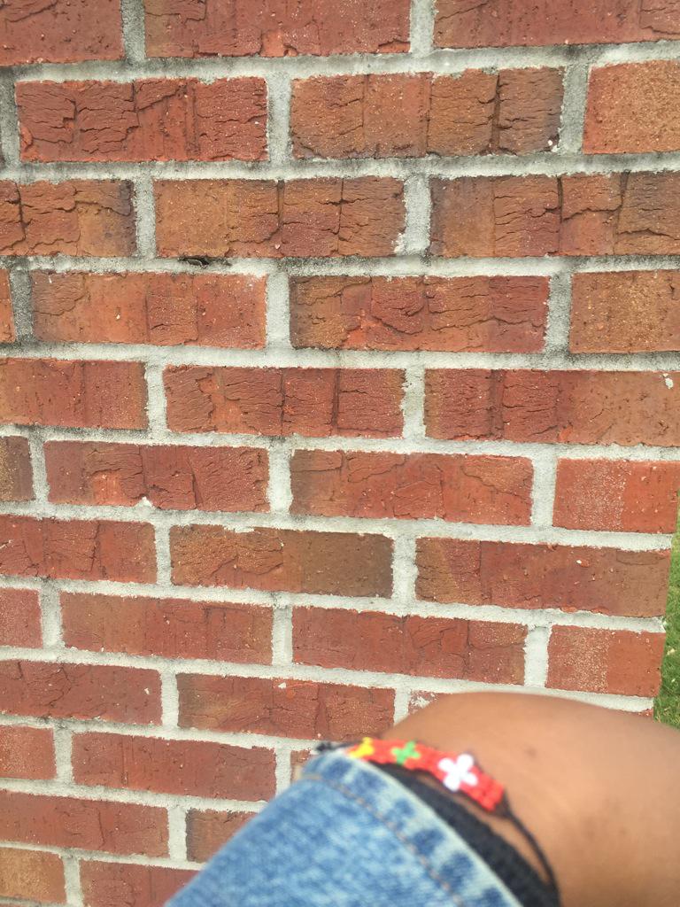 JPaulmark's tweet photo. Bricks are the microfilaments of the school. http://t.co/pzsk9EJksA