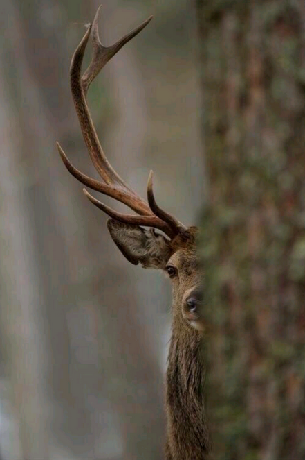 CauseWereGuys's tweet photo. Dudes be like "idgaf about her anymore!" http://t.co/pcdiUkMCQe