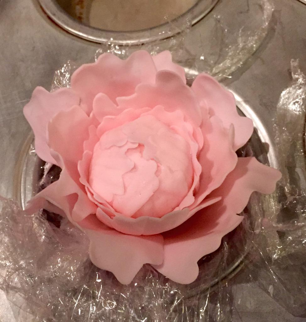 My first try at this kind of flower!! Two more to make for a cake Sunday!!! 😊😊
