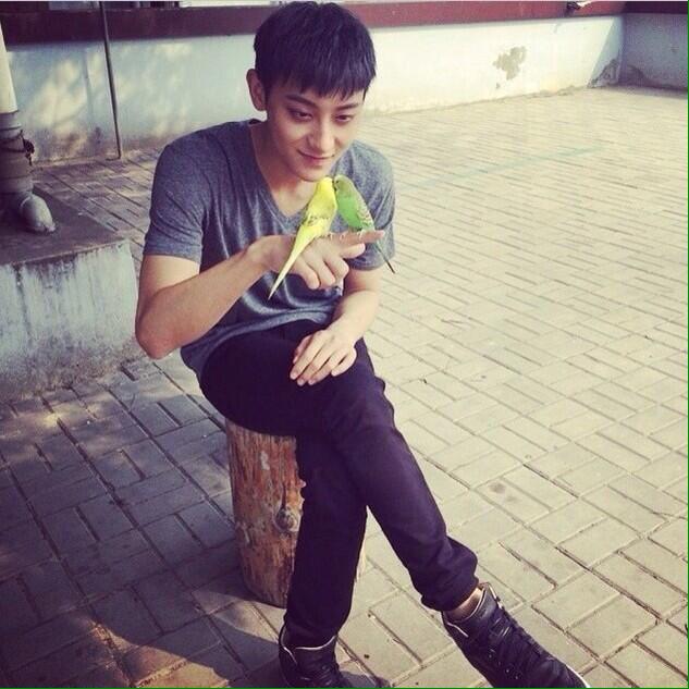 Happy birthday Huang Zitao! Hope you had an amazing year ahead! You are loved! Even by little birds!  