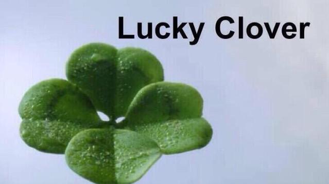 tbhfanproblems's tweet image. rt and your fav will follow you tomorrow 

this actually works 

don't risk it