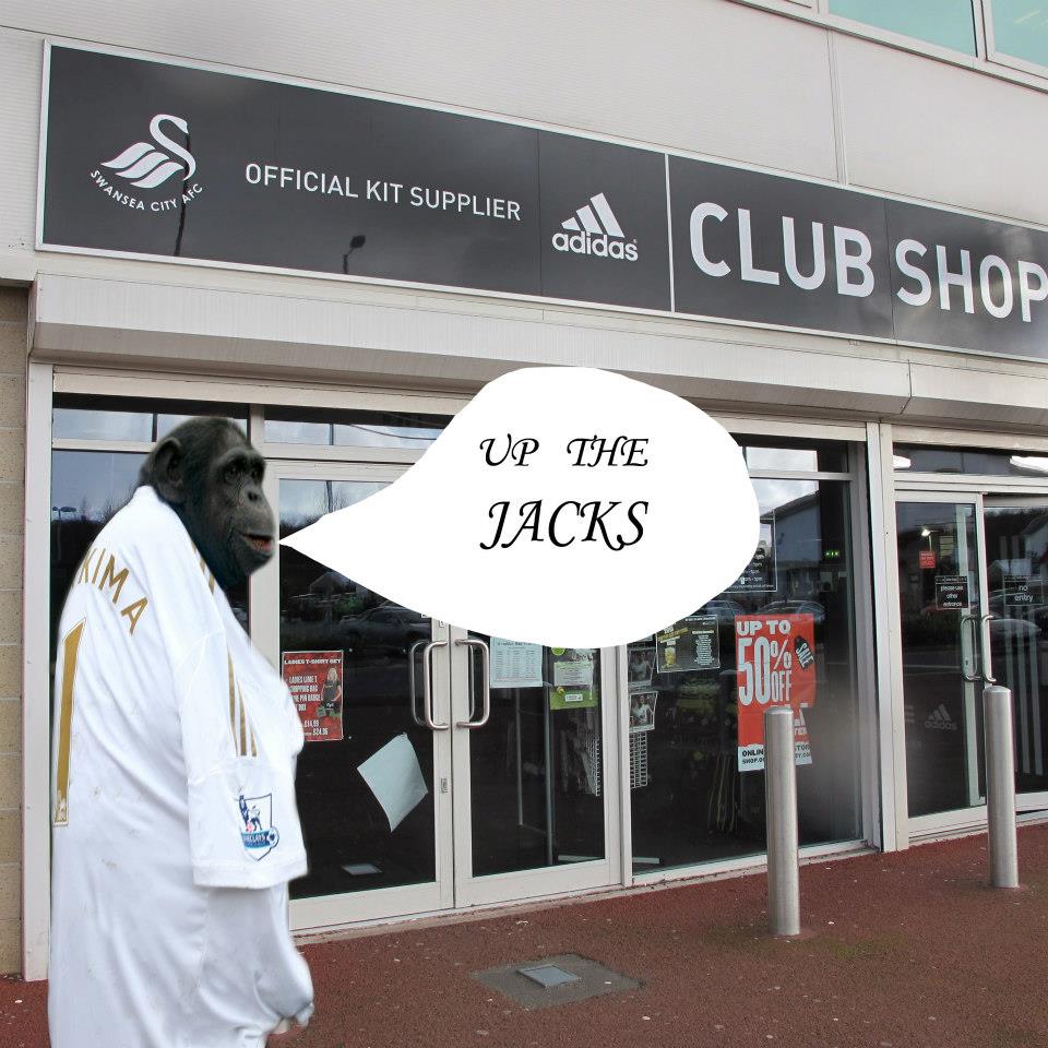 walesape's tweet image. Excellent win today Nakima sends her best. @SwansOfficial @SwansFC @leighdineen #swastk