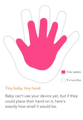 ambreclark's tweet photo. This is the current size of my baby's hand (29 weeks) ! via Ovia Pregnancy @ http://t.co/lYpD1dkWlC