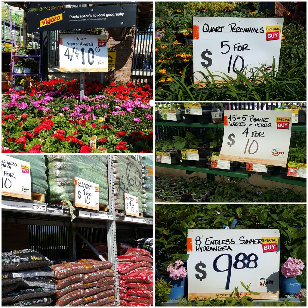 mtbisha's tweet photo. It's a beautiful day to start some outdoor gardening projects at The Hull Street Home Depot #HD4627 @MattGilreathHD http://t.co/c0Cz3FYQEL