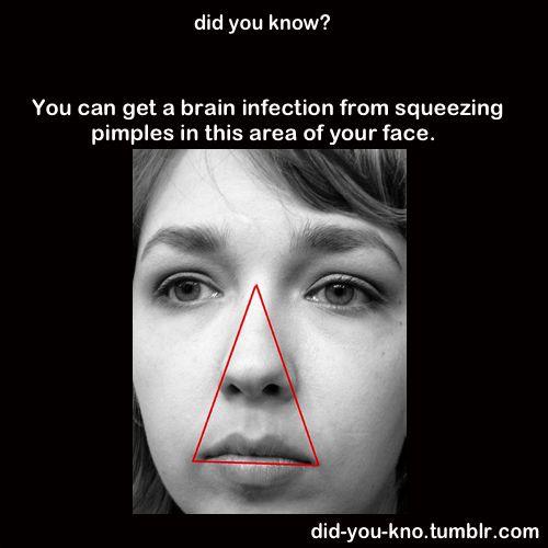 NotCorruptMedia's tweet photo. Did you know? http://t.co/ojhdwq7mJZ