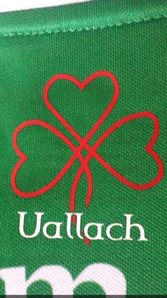 ryanhanna88's tweet photo. Players fitting symbol on the jersey today #Mully #Shamrocks #Proud #Uallach http://t.co/dwcVuXSuLN