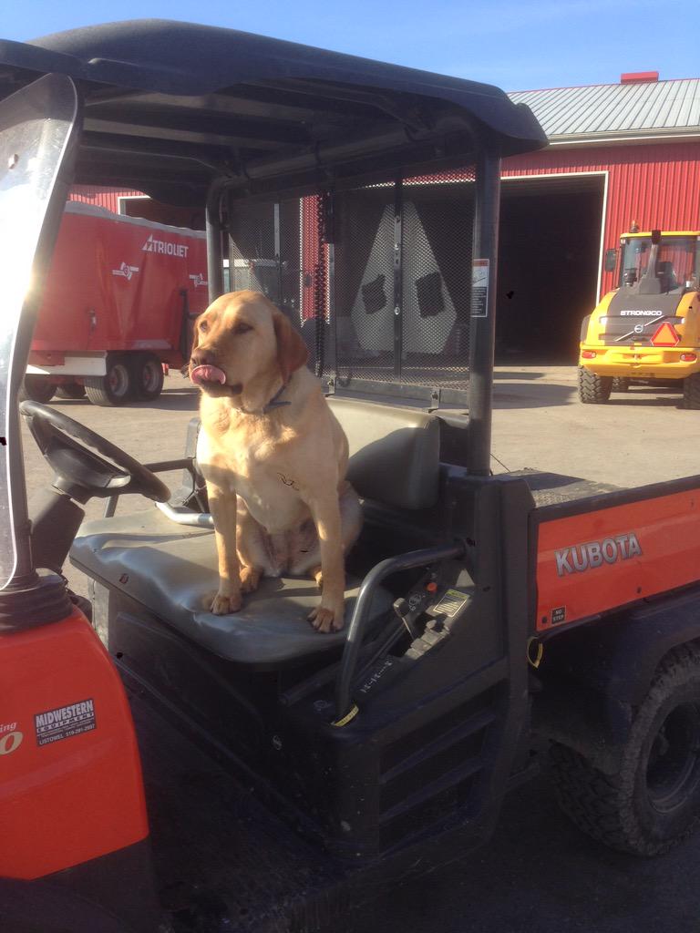 Linda Slits tweet media