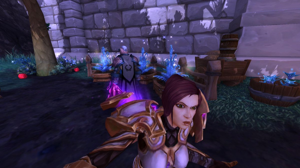 PallyAllori's tweet photo. Ummm who is this guy? That's not my guild herald... #warcraft #wowselfie #brokenserver? http://t.co/rabZzosNfX