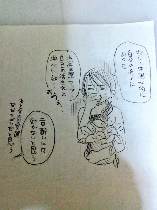 11話目ポトス。
初心者向けの観葉植物。不思議な事にツルを上に伸ばすと葉が大きく育ち、ツルを下に垂らして育てると葉が小さく育つらしいです。花を咲かせることはめったにないのですが、アンスリュームみたいな形をしているそうです。 