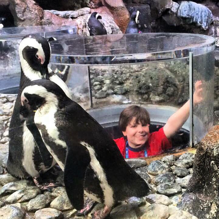 DeepFriedDaddy's tweet image. Loved taking J to @GeorgiaAquarium for his birthday - great way to inspire his passion for sharks &amp;amp; other marine life