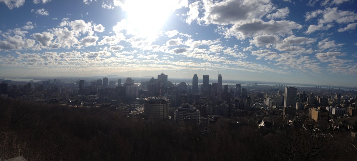 annadaneau's tweet image. Good morning from Montreal, let the #foodie day begin