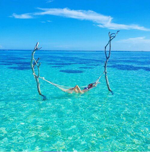 SickViews's tweet photo. Paradise 🌴 http://t.co/FGXPSUFtyf