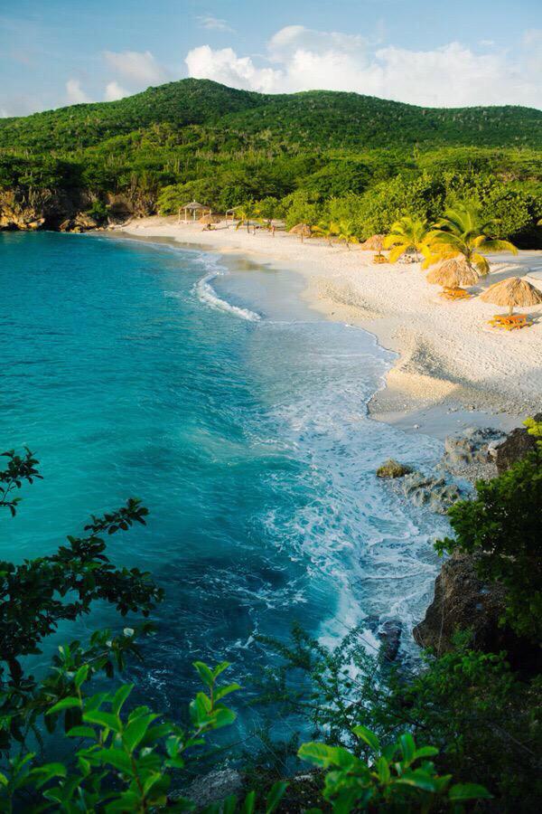 SickViews's tweet photo. Paradise 🌴 http://t.co/FGXPSUFtyf