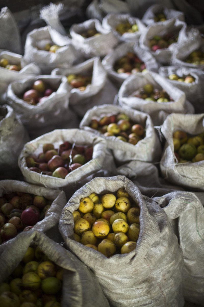 One Cornwall tweet media