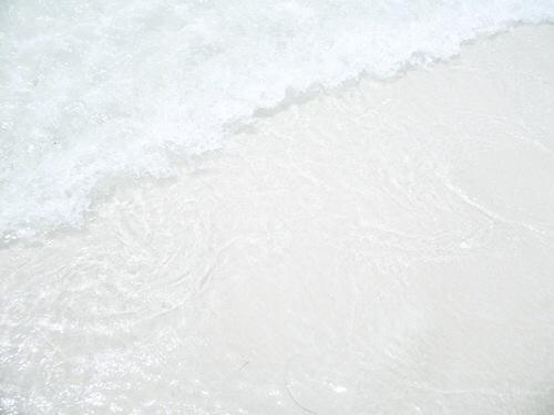 Diarypic_ tweet picture