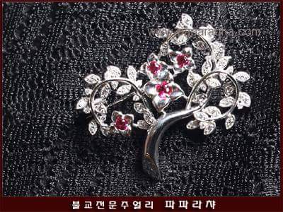 파파라챠 tweet media