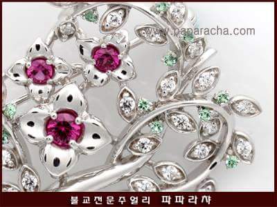 파파라챠 tweet media