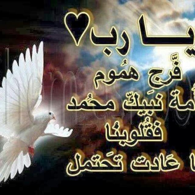 Hotmal88 tweet picture