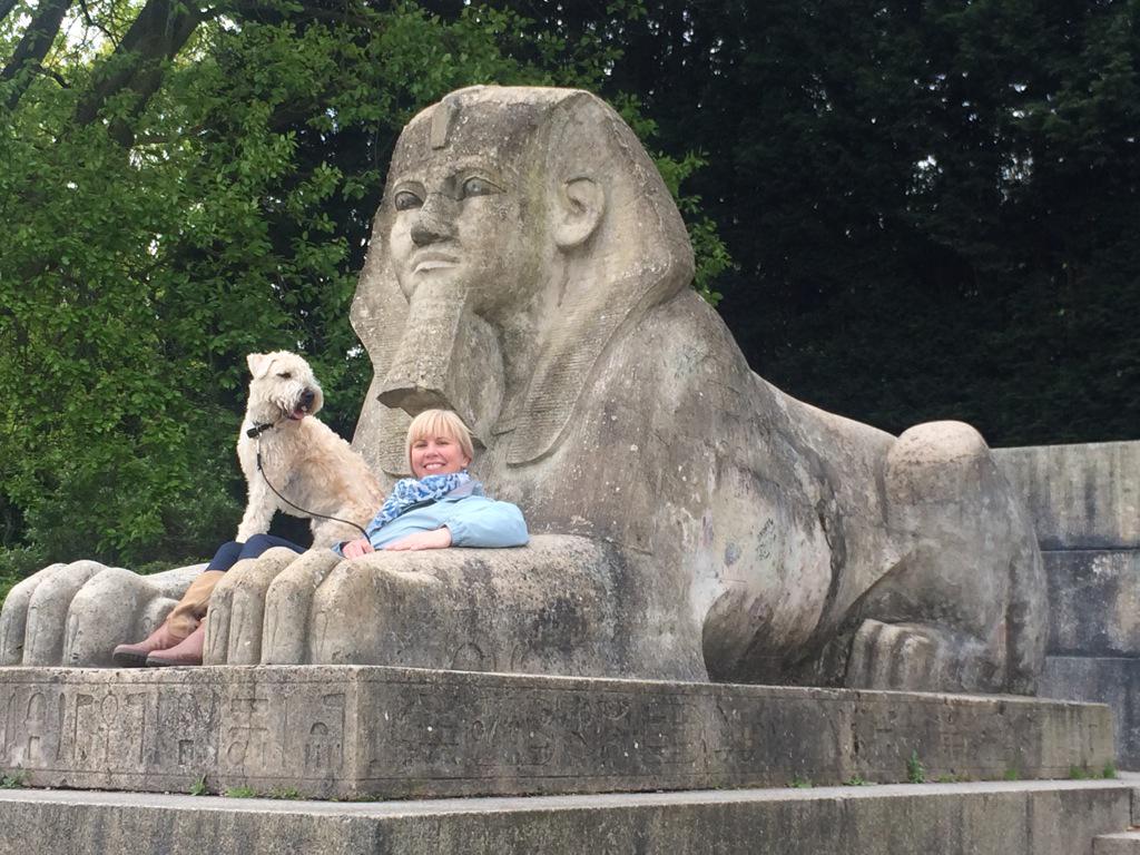 Nixster874's tweet photo. @LOVESE19 @CrystalPalacePK @crystal_sphinx @BorrowMyDoggy @browngreencafe he's called Bran, superstar 🐶🌟❤️ http://t.co/LJu0U25tLQ