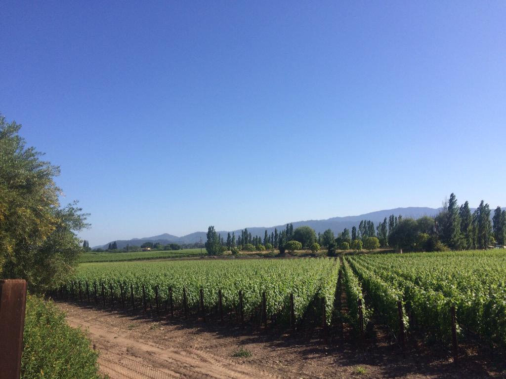 3kmilesTV's tweet photo. Beautiful day on the west coast. Exploring The Napa Valley! http://t.co/bG5xeIMA7t