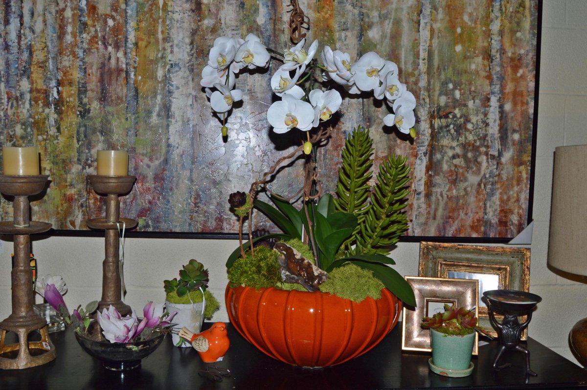 NovaCollection tweet media