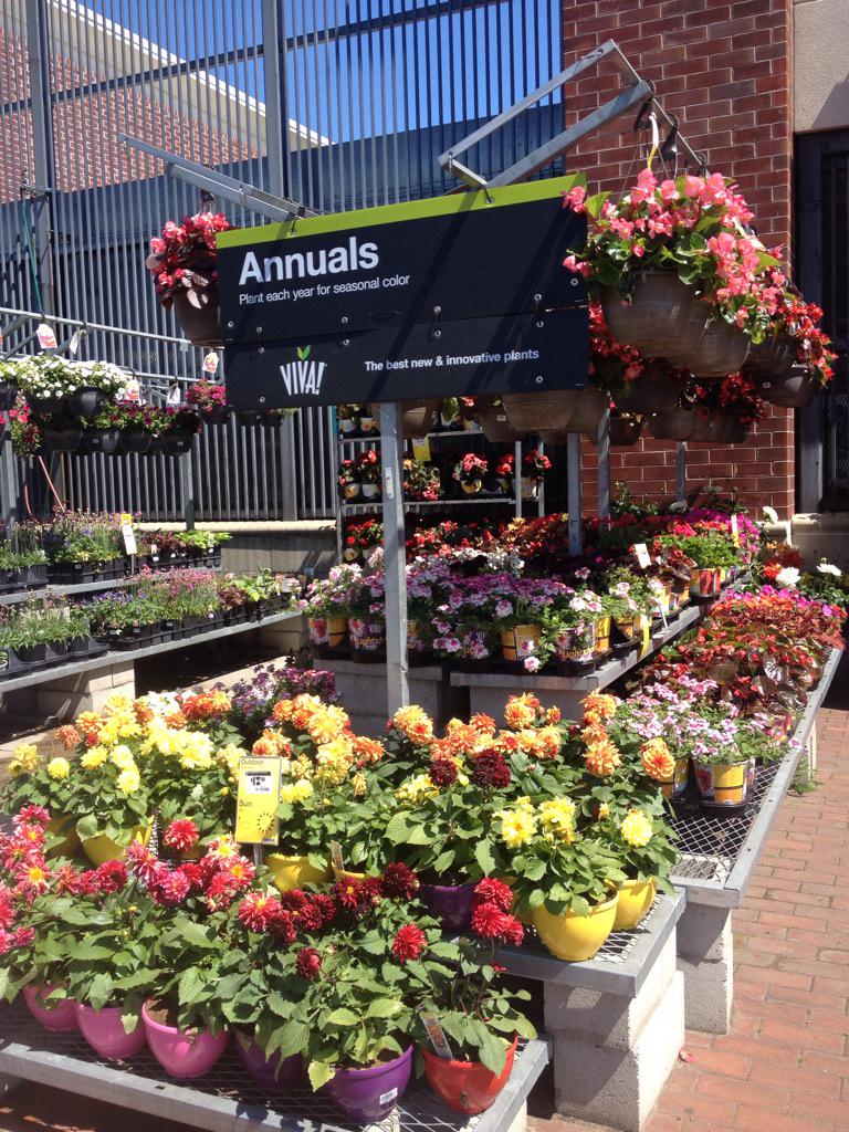 D_Liberato1's tweet photo. #Vigaro #VIVA #FinallyMay #0989ReadyForSpring!! @Marks2James @ChristineTHD @nyyroro http://t.co/oVh3ae65G7