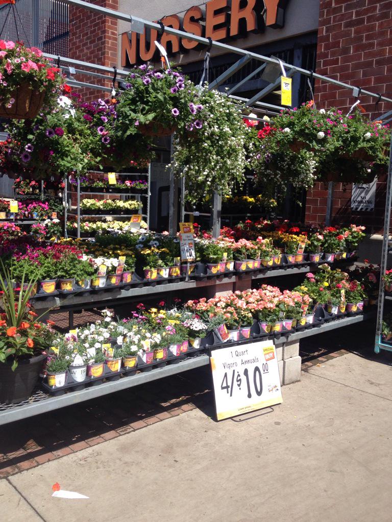 D_Liberato1's tweet photo. #Vigaro #VIVA #FinallyMay #0989ReadyForSpring!! @Marks2James @ChristineTHD @nyyroro http://t.co/oVh3ae65G7