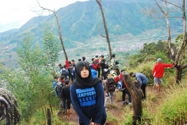 Jeng jeng <a href="/wonosobo/">WONOSOBO</a> #Dieng #goldensunrise #sikunir