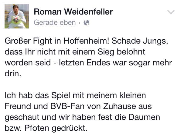 mine1909's tweet photo. Roman #Weidenfeller via #Facebook. #BVB #HOFBVB #RomanStronger 💪💛⚽️ http://t.co/tbSLEFEE38
