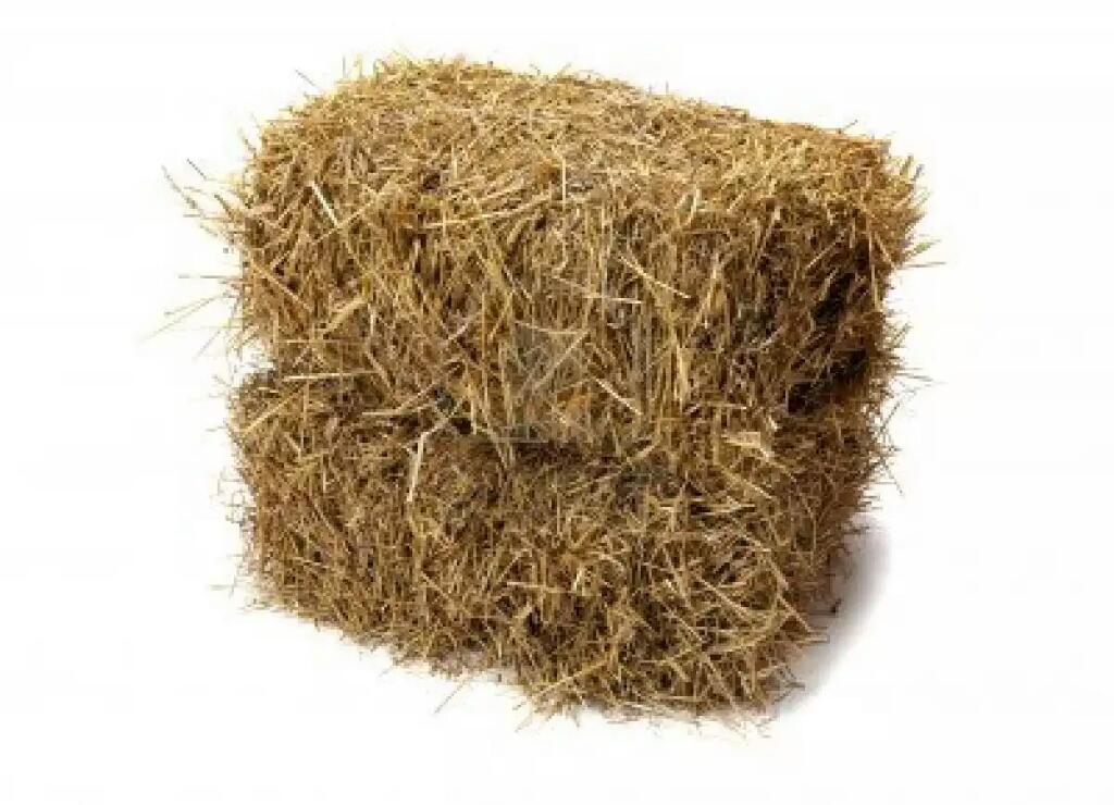 oklahsam's tweet photo. @PFTompkins http://t.co/6iDmx5Rxkc