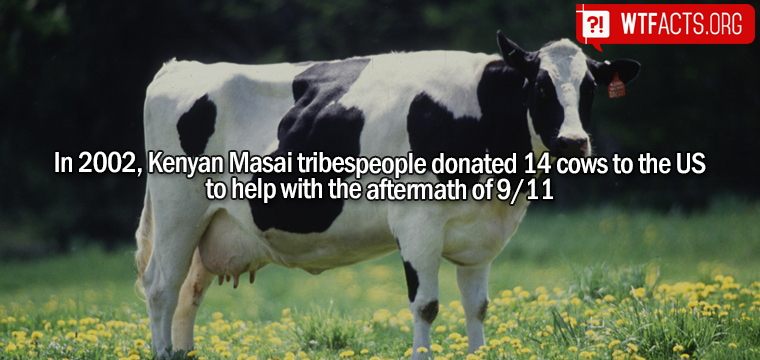 WTFactsOrg's tweet image. Read how they even found about it here: WTFacts.org/kK9Tr