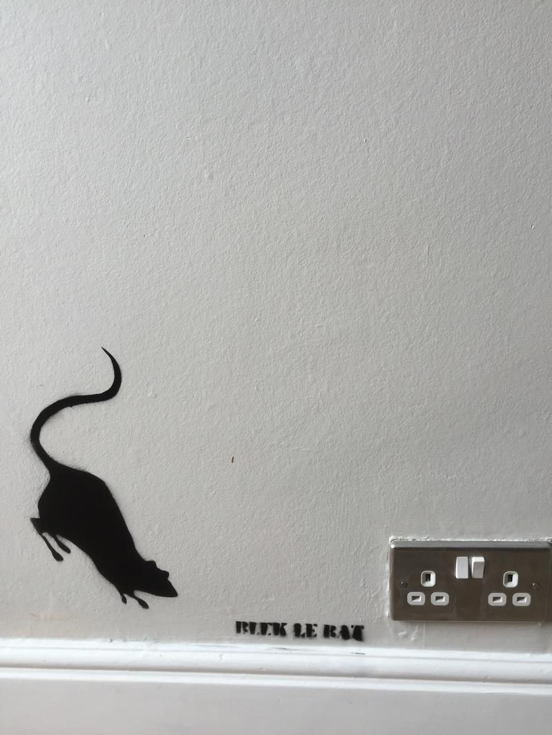 Jo Brooks tweet media